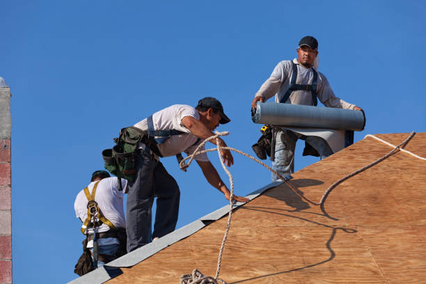 Best Residential Roofing Contractor  in Wenona, IL