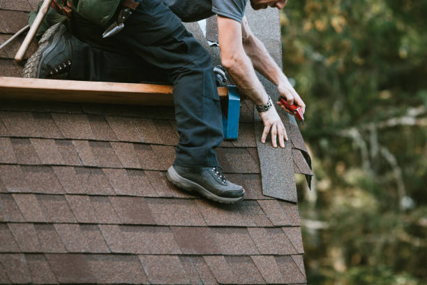 Best Roof Maintenance Services  in Wenona, IL