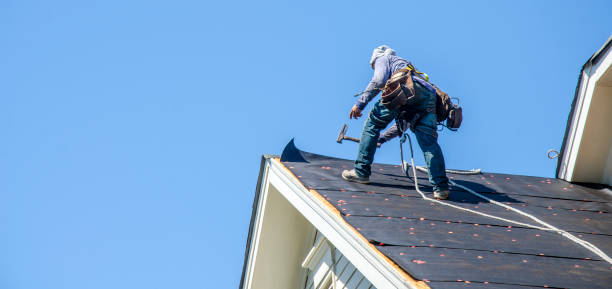Best Commercial Roofing Services  in Wenona, IL